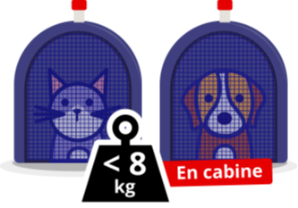 image transport animaux cabine